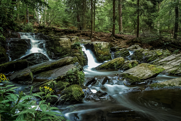 Kleiner Wasserfall im Wald