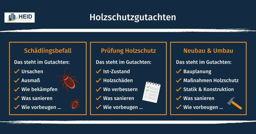 Infografik zum Holzschutzgutachten